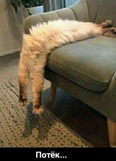 Потёк
