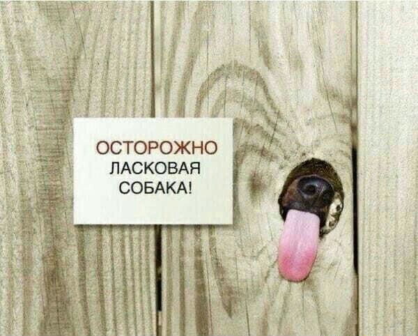 ОСТОРОЖНО ПАСКОБАП СОБАКАі