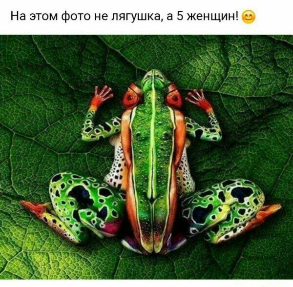 На этом фото не лягушка а 5 женщин