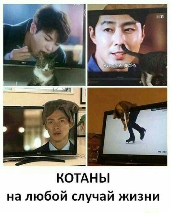 КОТАНЫ на любой случай жизни