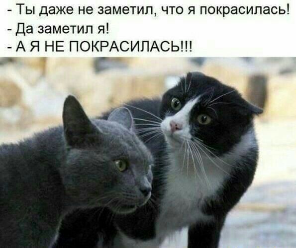 Ты даже не заметил что я покрасилась Да заметил я А Я НЕ ПОКРАСИПАСЬ 4 Г