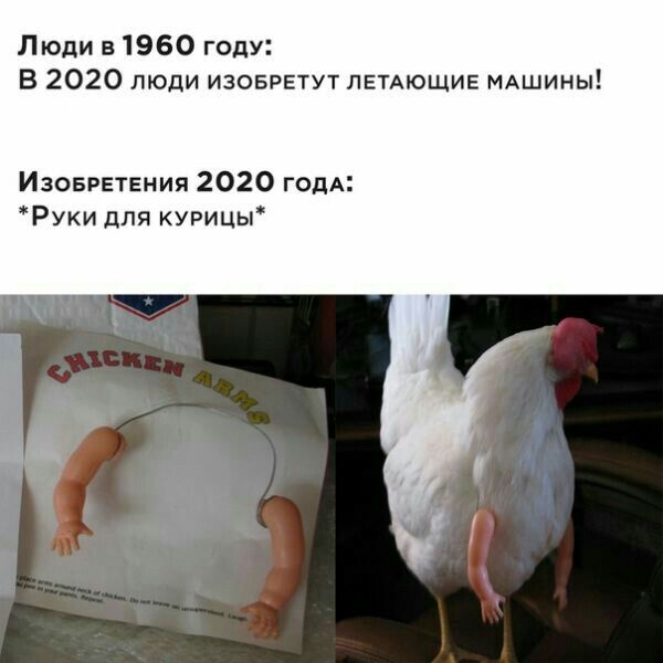 Люди в 1960 году В 2020 люди изовгвтут ЛЕТАЮЩИЕ МАшииы Изоврвтвния 2020 ГОДА Руки для курицы