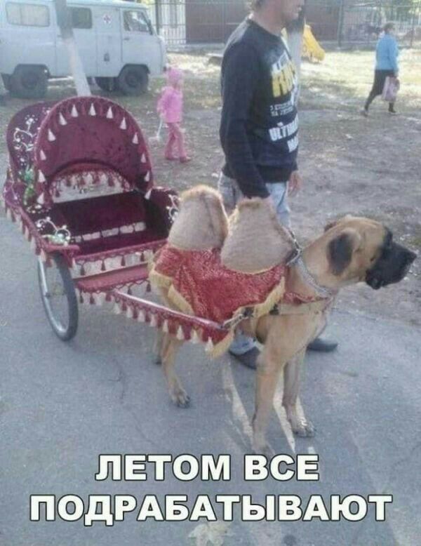 въ тт