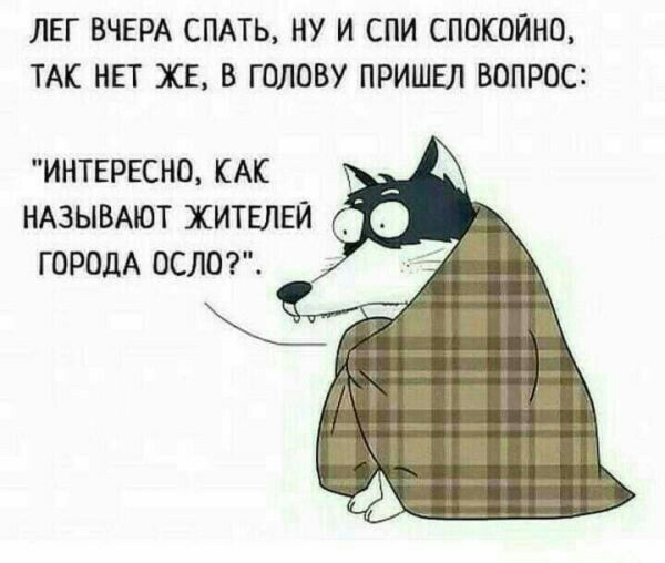 ЛЕГ ВЧЕРА СПАТЬ НУ И СПИ СПОКОЙМП ТАК НЕТ ХЕ В ГШШВУ ПРИШЕЛ ВОПРОС