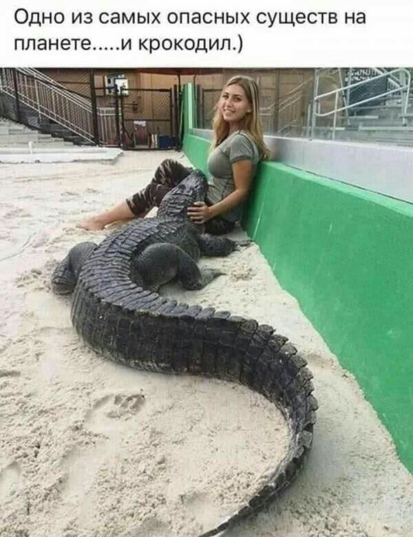 Одно из самых опасных существ на планетеи крокодил