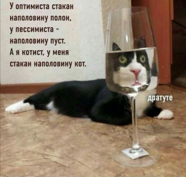 У ППТИМИПВ стакан иаппловииу полим УПЕСЕИМИПЗ ИЗПШШВИИУ ПУП А и ноты у меня стакан наполовину кот