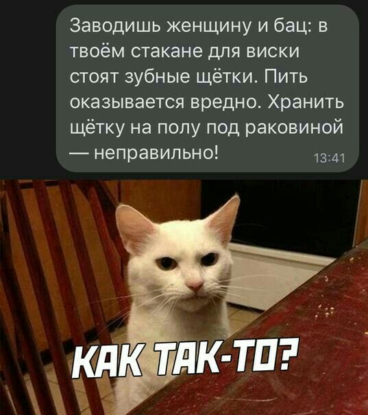 Заводишь женщину и бац в твоём стакане для виски стоят зубные щётки Пить оказывается вредно Хранить щётку на полу под раковиной неправильно