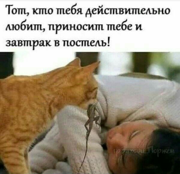 Тот кто тебя действипшшно любит приносит тебе и завтрак в постель