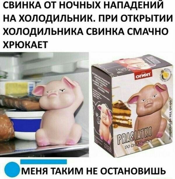 СВИНКА ОТ НОЧНЫХ НАПАДЕНИЙ НА ХОЛОДИЛЬНИК ПРИ ОТКРЫТИИ ХОЛОДИЛЬНИКА СВИНКА СМАЧНО ХРЮКАЕТ МЕНЯ ТАКИМ НЕ ОСТАНОВИШЬ