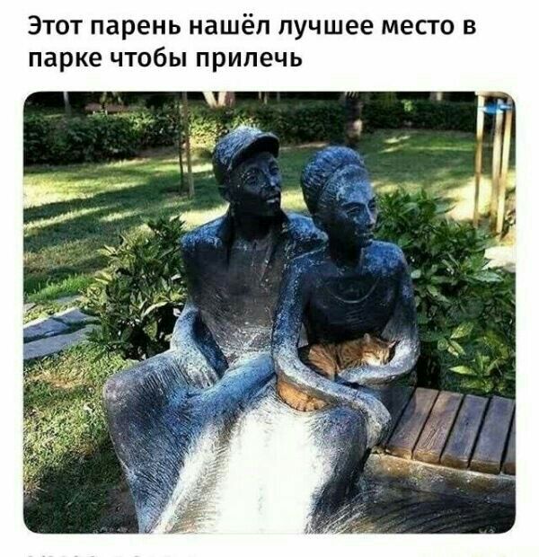 Этот парень нашёл лучшее место в парке чтобы прилечь