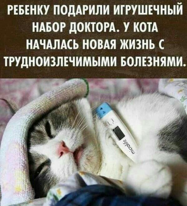РЕБЕНКУ ПОдАРИЛИ ИГРУШЕЧНЫЙ НАБОР дОКТОРА У КОТА НАЧАЛАСЬ НОВАЯ ЖИЗНЬ С ТРУДНОИЗЛЕЧИМЫМИ БОЛЕЗНЯМИ