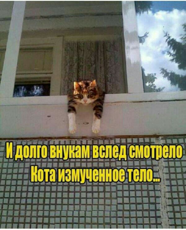 Бити дпни ДПП ВШ _спвд жители