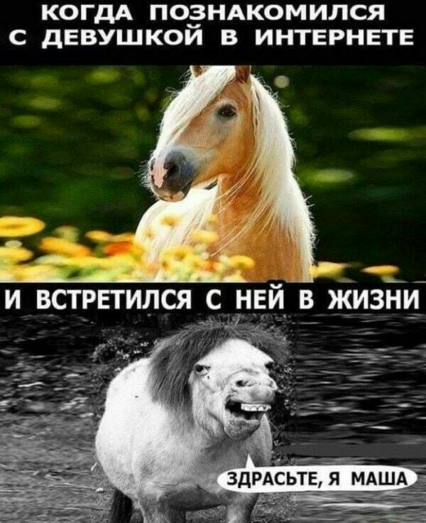 КОГДА ПОЭНАКОМИЛСЯ С дЕВУШКОИ В ИНТЕРНЕТЕ