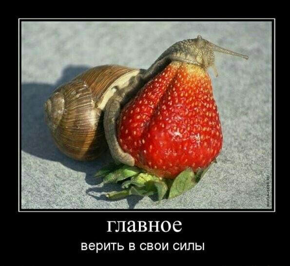 главное верить в свзи силы