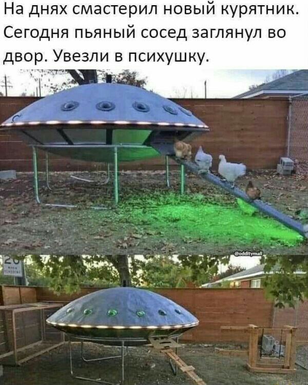 На днях смастерил новый курятник Сегодня пьяный сосед заглянул во двор Увезли в психушку