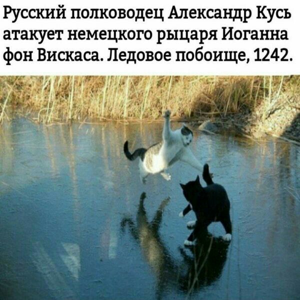 Руссшй полководец Александр Кусь атакует немецкого рыцаря Иоганна Фон Вискаса Ледовое побоище 1242