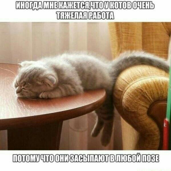 ШШШШШШШШШВП Я ШШШШЧЮШШШ