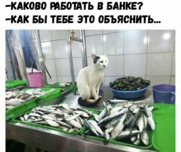 КАК080 иво ить В БАНКЕ ЖАК БЫ ТЕБЕ ЭТО ОБЪЯСНИТЬ