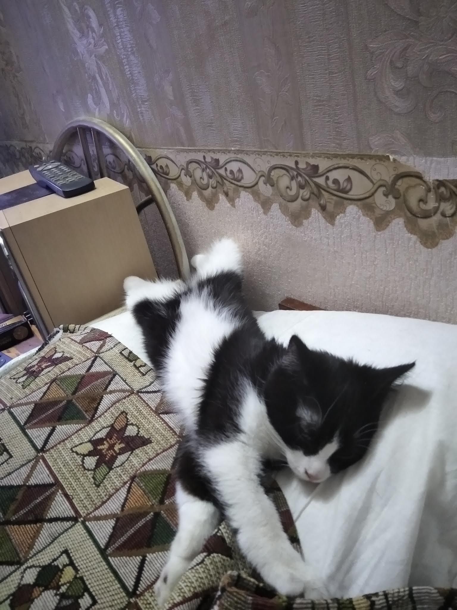 т ь _