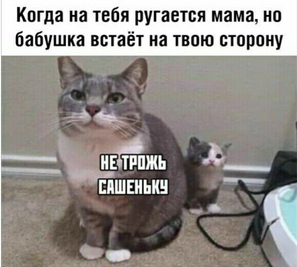 Когда на тебя ругается мама но бабушка встаёт на твою сторону НЕ ТРПЖЬ Ф ЕЯШЕНЫШ _