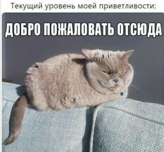 Текущий уровень моей приветливости дот ППШАЛПВМЬ ШВЮДА