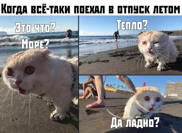 ШШ ЦЕЁТПКИ ППЕШШ В ПТПНПК ЛПП