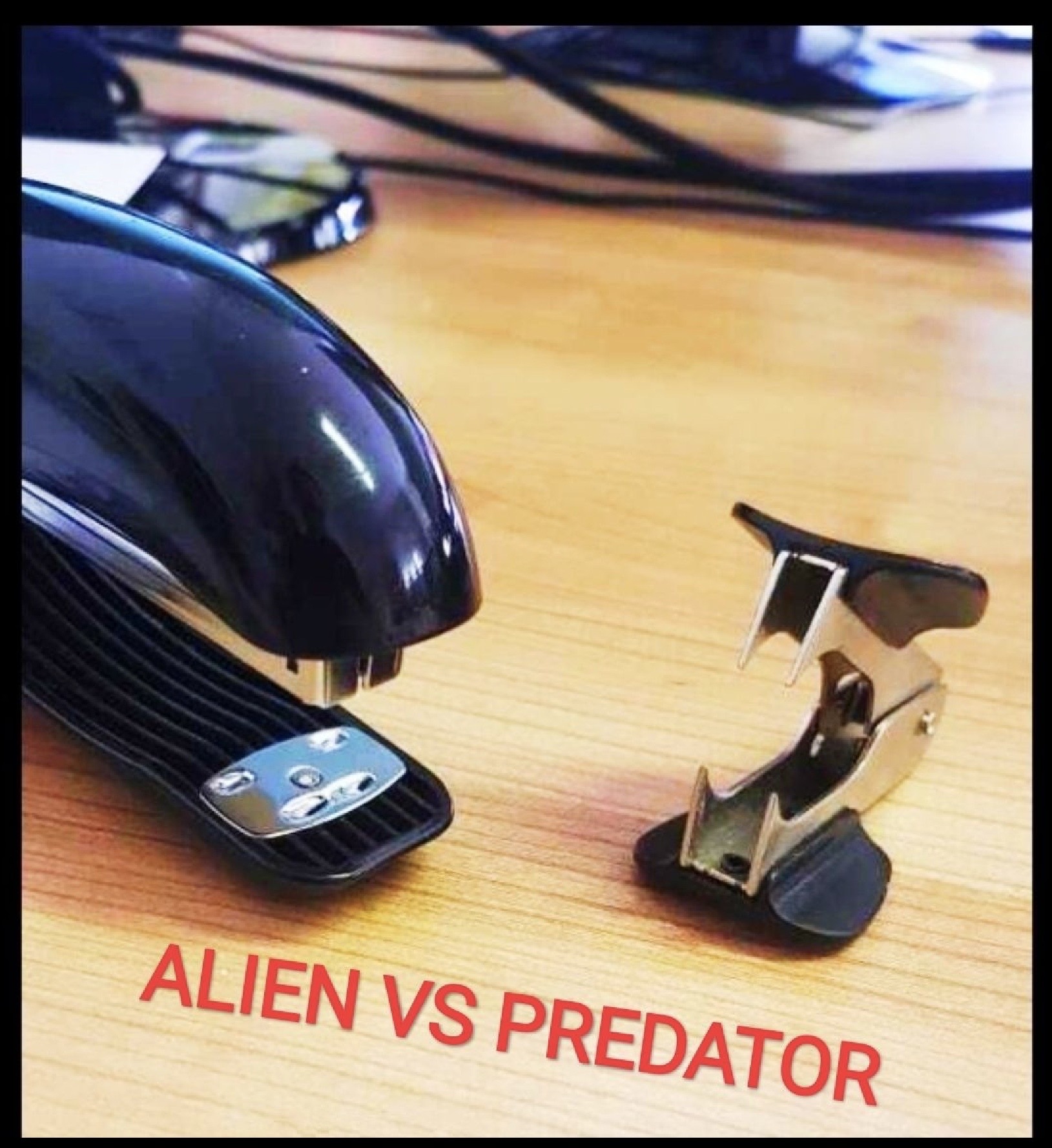 ALIEN VS PREDATOR
