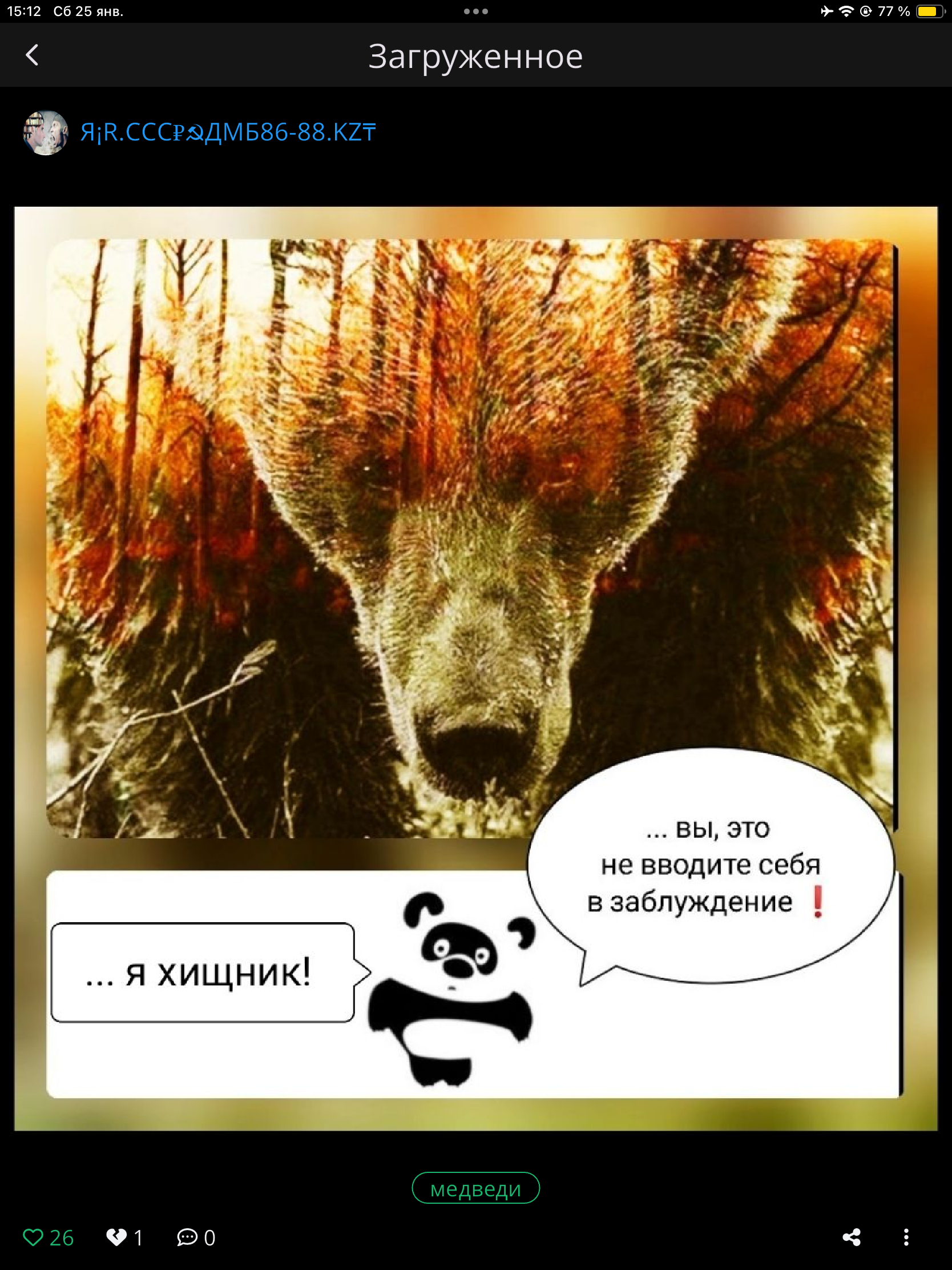 ... Я хищник! ... вы, это не вводите себя в заблуждение !