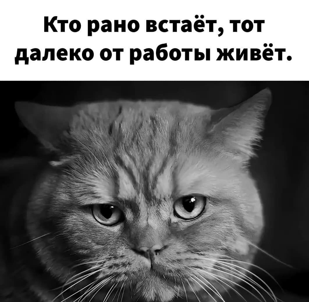 Кто рано встаёт тот далеко от работы живёт