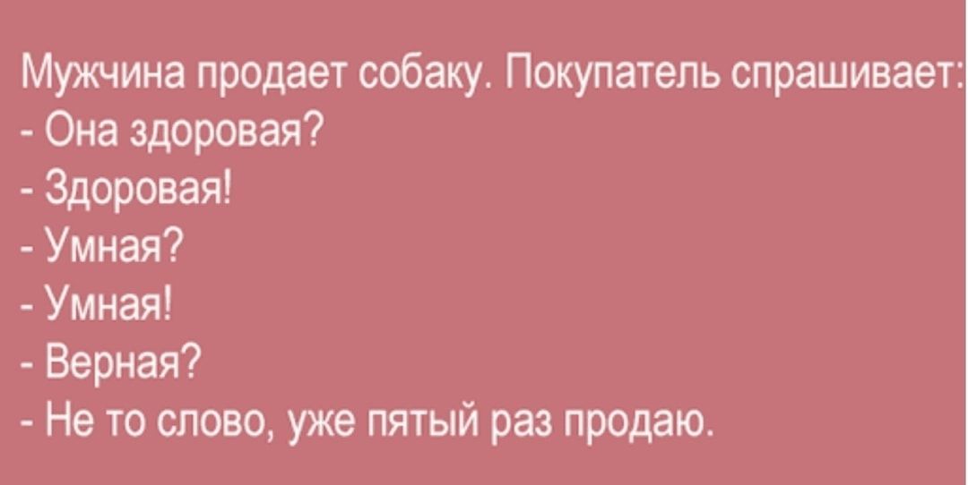 Мужчина продает собаку Покупатель спрашивает Она здоровая Здоровая Умная Умная Верная Не то слово уже пятый раз продаю