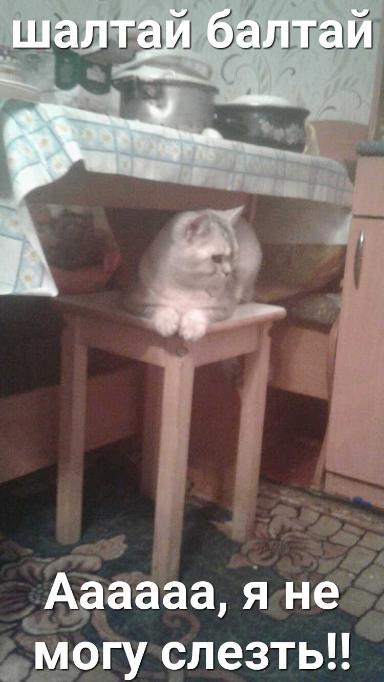 Аааааа я не могу слезть