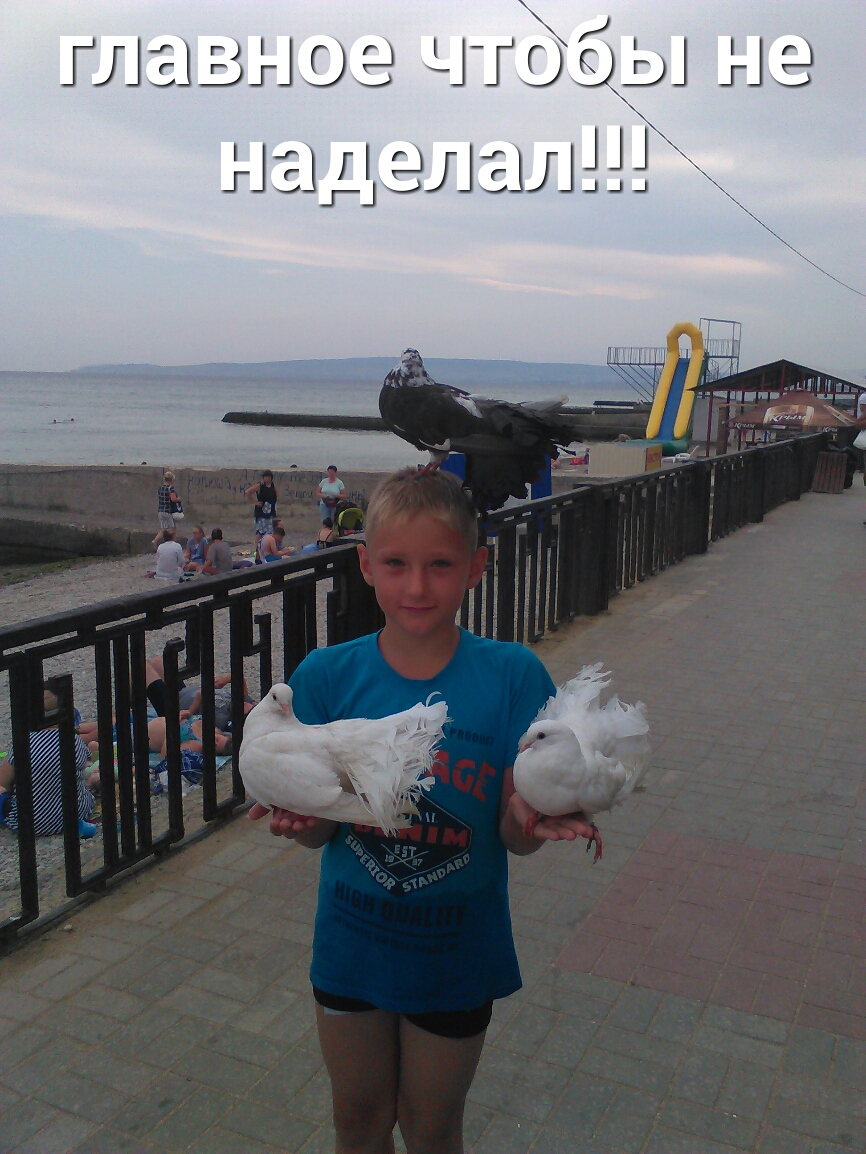 ГЛЕЦЗЗОЭ ЧГЭЭд ЦЭ Н а Н эл эш