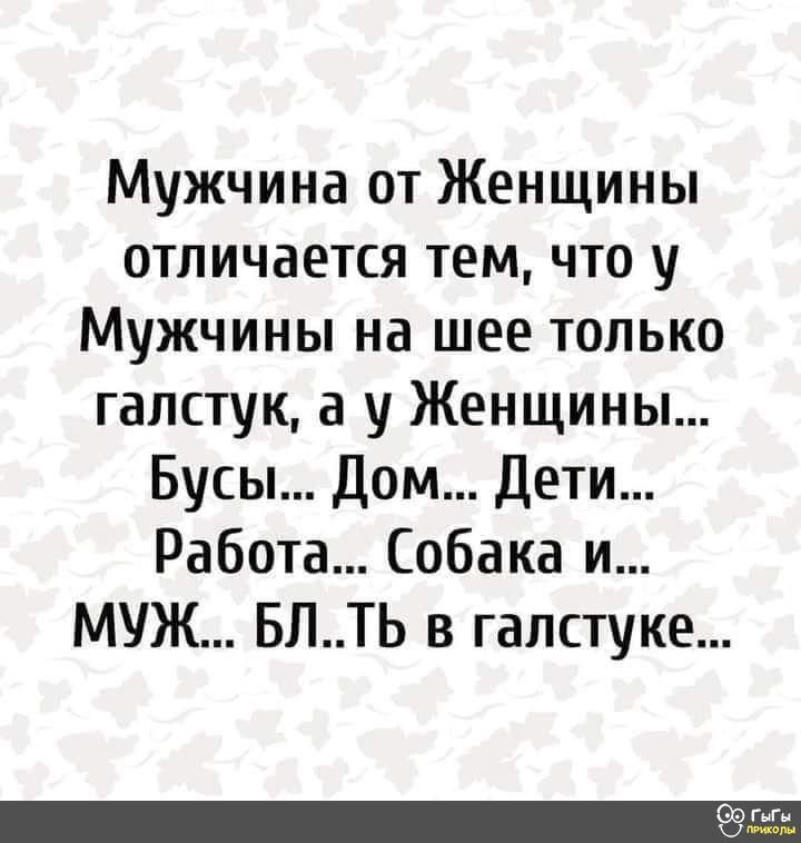 Мужчина от Женщины отличается тем что у Мужчины на шее только галстук а у Женщины Бусы Дом Дети Работа Собака и МУЖ БЛТЬ в галстуке