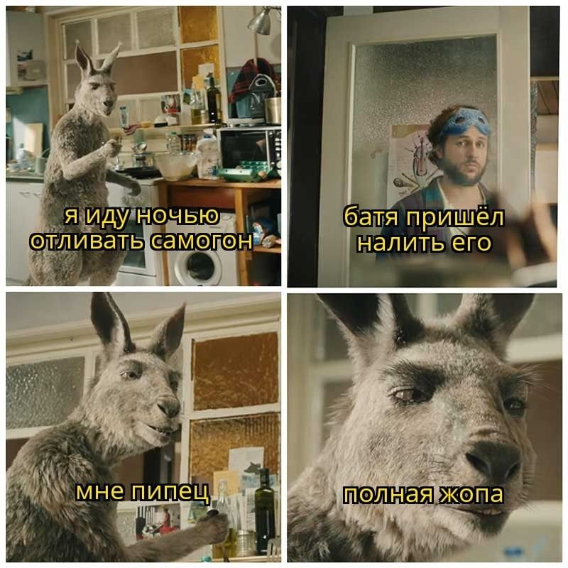 кд _ мье пипец