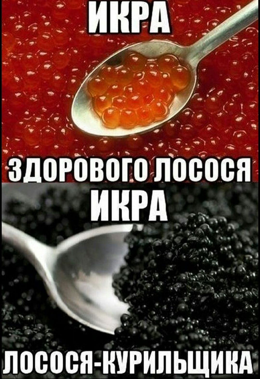 о о _ о _ о _ __ _ щ _ О насоса нигипьши
