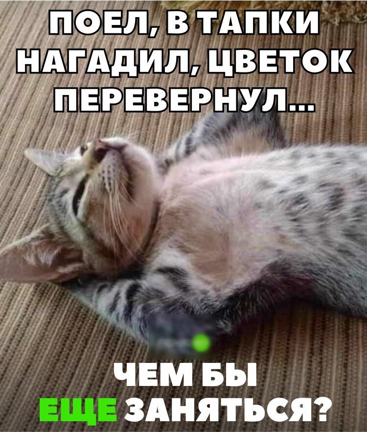 ъ РНК ЧЕМ вы ЗАНЯТЬСЯ