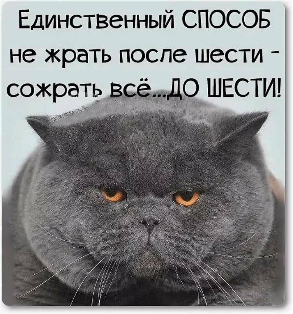 Единственный способ не жрать после шести  сожреть всёдо шести!