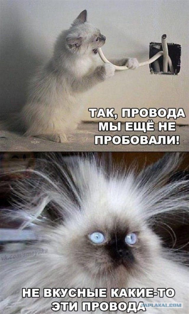 Не 1 ые к    е