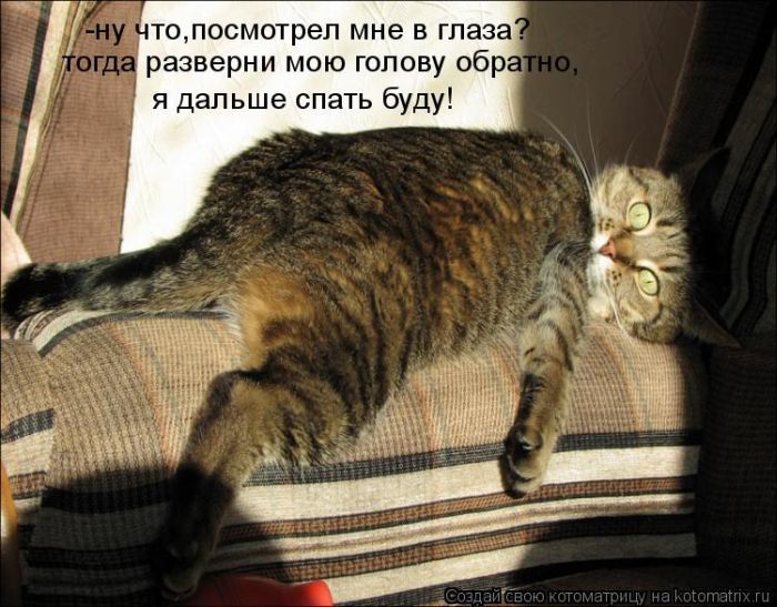 У что,посмотрел мне в глаза