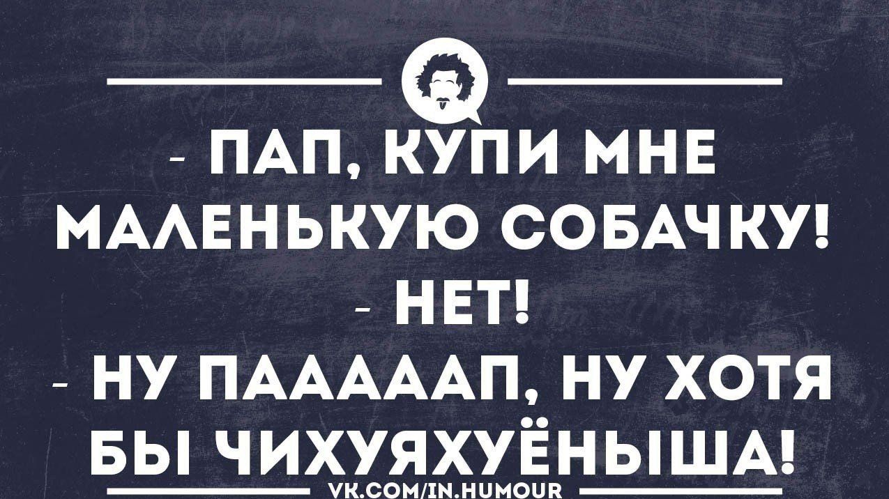 ПАП КУПИ МНЕ МААЕНЬКУЮ СОБАЧ КУ НЕТ НУ ПАААААП НУ ХОТЯ БЫ ЧИХУЯХУЁНЫША укропхимиком