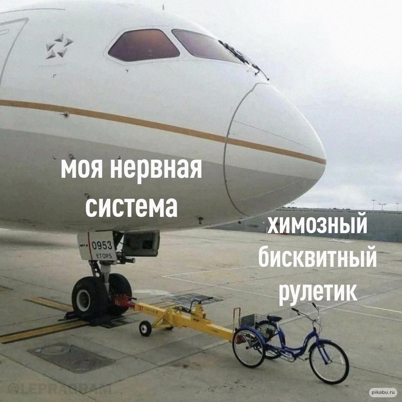 МОЯ нервная система