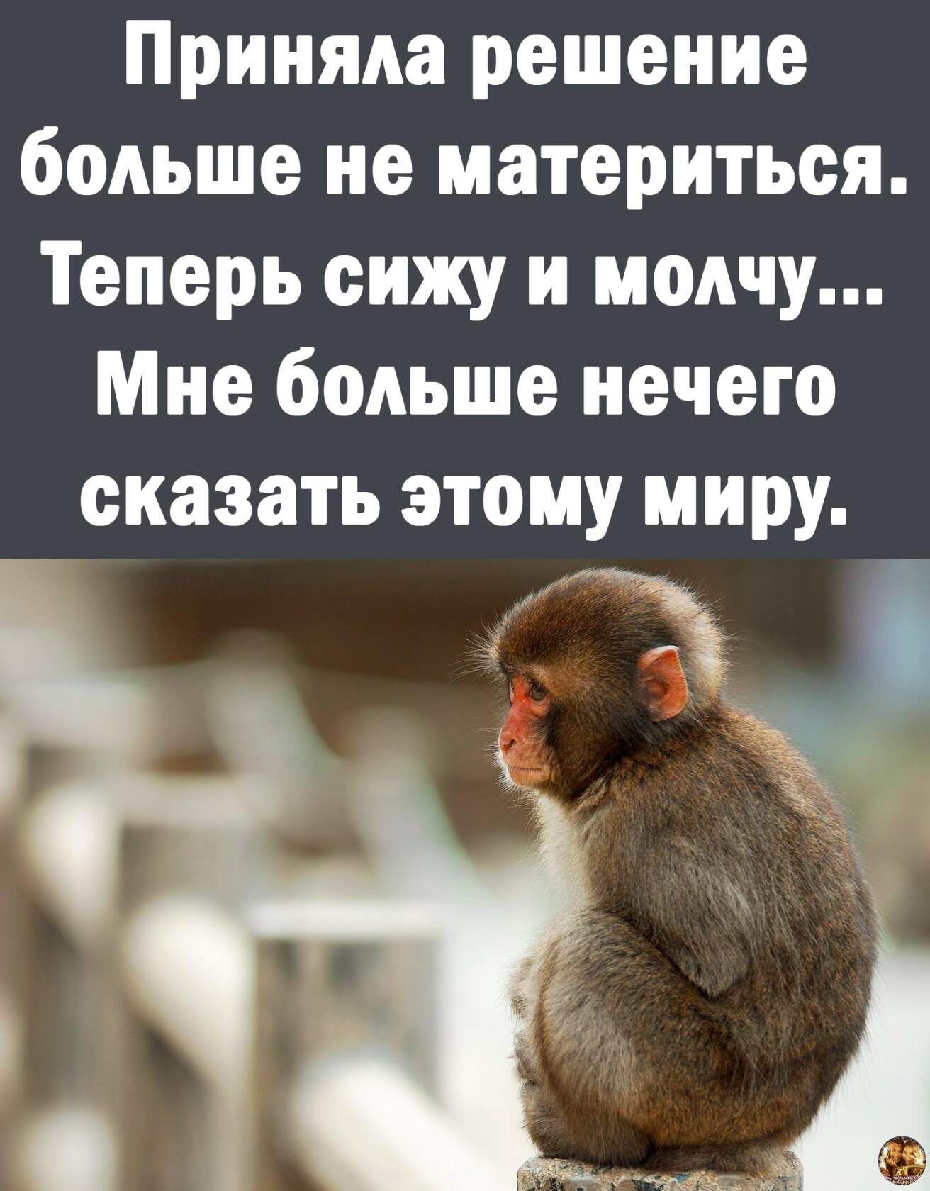 Приняла решение больше не материться Теперь сижу и молчу Мне больше нечего сказать этому миру д
