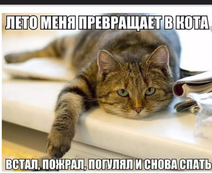 МШ ППШШпгъвгдшпвтв 4 _