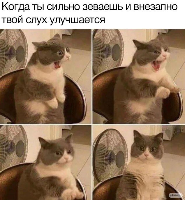 КОГДЭ ТЫ СИЛЬНО ЗЭВЗЭШЬ И ВНЭЗЗПНО твой слух улучшается