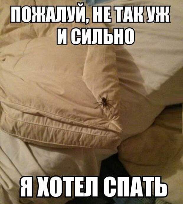 ППЖМШЙ НПА И силы 8 ЮТЕЛ СПАТЬ