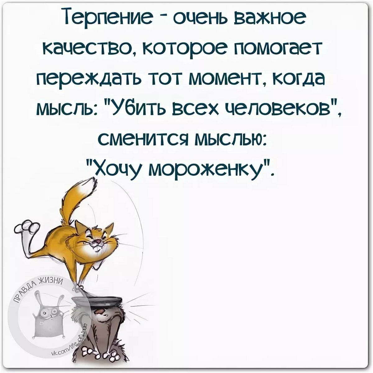 Терпение очень важное качество которое помогает переждать тот момент когда мысль Убить всех человеков сменятся мыслью Хочу мороженку