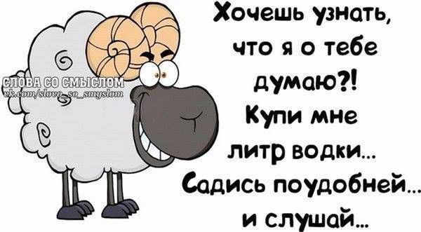 ХОЧешь узнать что я о тебе думаю Купи мне литр водки Садись поудобней и слушай