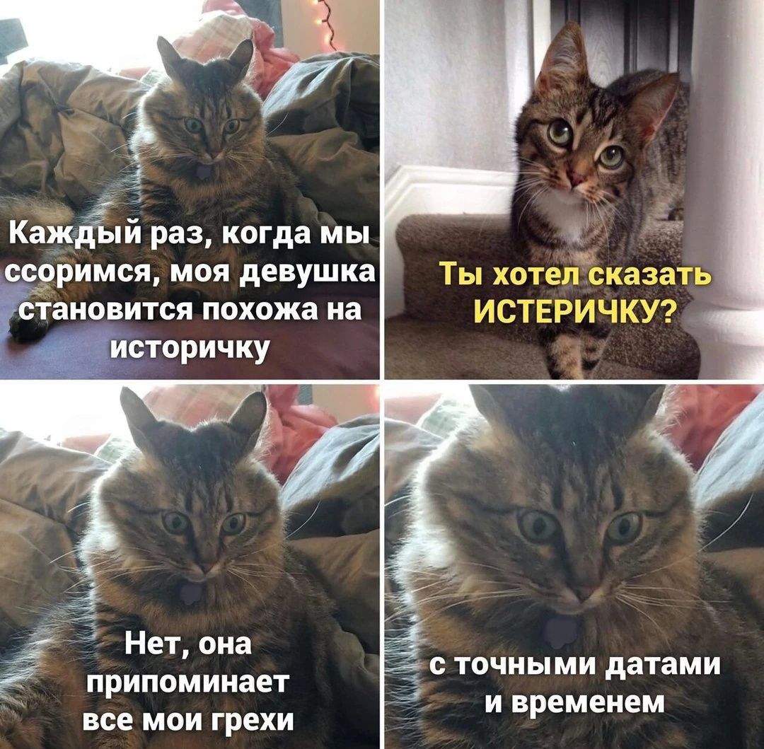 Кажёпи раз когда мы оримся моя девушка ШС ИЧКУ Нет она точными атами припомииает и времеэем все мои грехи
