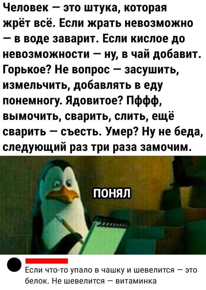 Человек это штука которая жрёт все Если жрать невозможно в воде заварит Если кислое до невозможности ну в чай добавит_ Горькое Не вопрос засушить измельчить добавлять в еду понемногу Ядовитое Пффф вымочить сварить слить ещё сварить съесть Умер Ну не беда следующий раз три раза замочим _ Если чтогто упало в чашку и шевелится это белок Не шевелится еитаминка