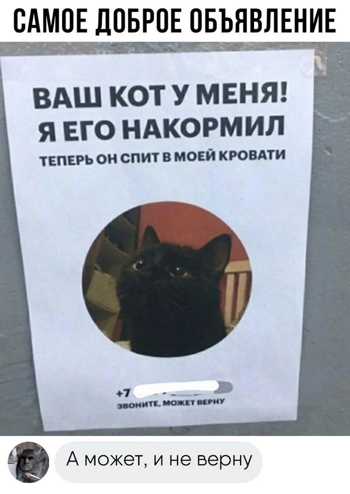 САМОЕ ЛОБРПЕ ОБЪЯВЛЕНИЕ ВАШ КОТ У МЕНЯ Я ЕГО НАКОРМИЛ ТЕПШ О СПИТ В МОЕЙ КРОВАТИ